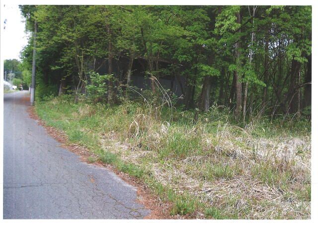 Residential Land for Sale in Nikko, Tochigi - 387 sqm Plot - Thumbnail 3