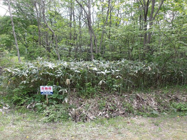 332.12 sqm Vacant Land for Sale in Mutsu City, Aomori - Thumbnail 2