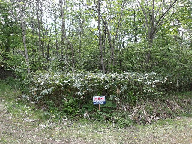 332.12 sqm Vacant Land for Sale in Mutsu City, Aomori - Thumbnail 4