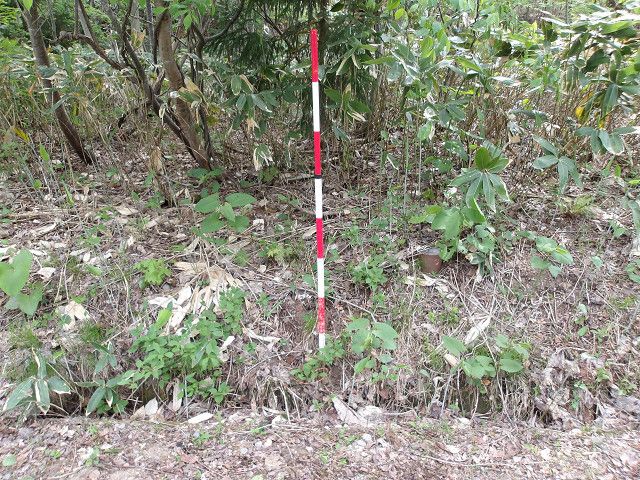 332.12 sqm Vacant Land for Sale in Mutsu City, Aomori - Thumbnail 3