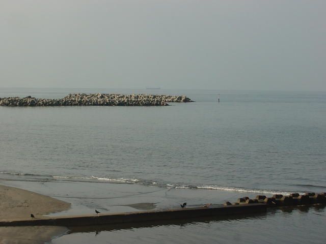 Land for Sale in Tateyama, Chiba – 441 sqm Residential Plot - Thumbnail 3