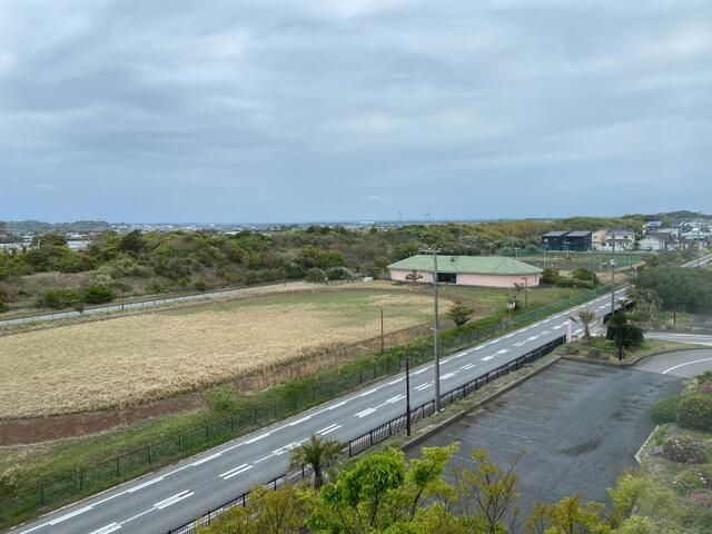 Land for Sale in Ichinomiya, Chiba - 1078 sqm Plot - Thumbnail 2