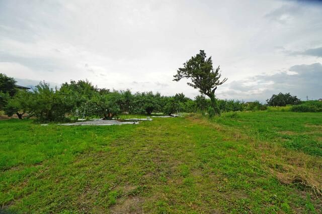 Land for Sale in Fuefuki City, Yamanashi - 776.40 sqm Plot - Thumbnail 4