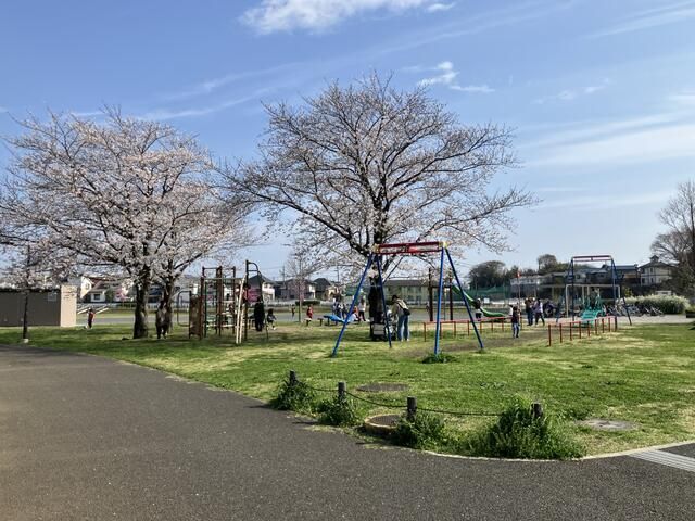 Land for Sale in Seya Ward, Yokohama City - 123.23 sqm - Thumbnail 4
