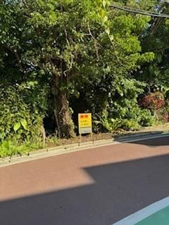 9,216 sqm Development Land for Sale in Nakagusuku, Okinawa - Thumbnail 4