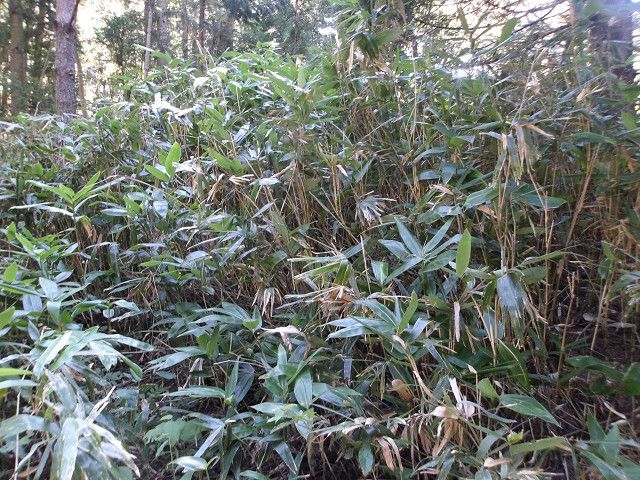 242 sqm Land for Sale in Agono City, Niigata - Thumbnail 2