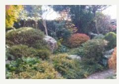 1981 6DK House on 649sqm Land in Mobara, Chiba — Image 11, Mobara, Chiba