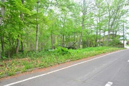 Land for Sale Opposite Teshikaga Shrine, Hokkaido - 539 Tsubo - Thumbnail 4