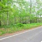Land for Sale Opposite Teshikaga Shrine, Hokkaido - 539 Tsubo - Thumbnail 3