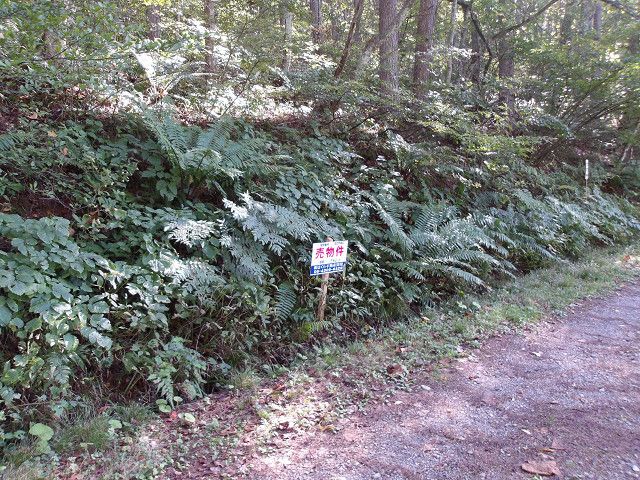 Land for Sale in Nagano City, Nagano - 791 sqm Plot - Thumbnail 4