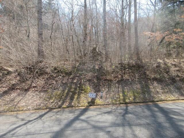 703 sqm Land Plot for Sale in Ueda, Nagano - Thumbnail 4