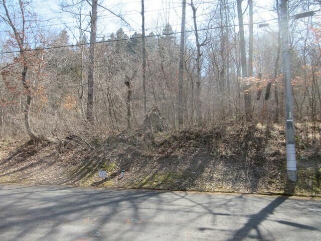 703 sqm Land Plot for Sale in Ueda, Nagano - Thumbnail 3