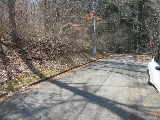 703 sqm Land Plot for Sale in Ueda, Nagano - Thumbnail 2