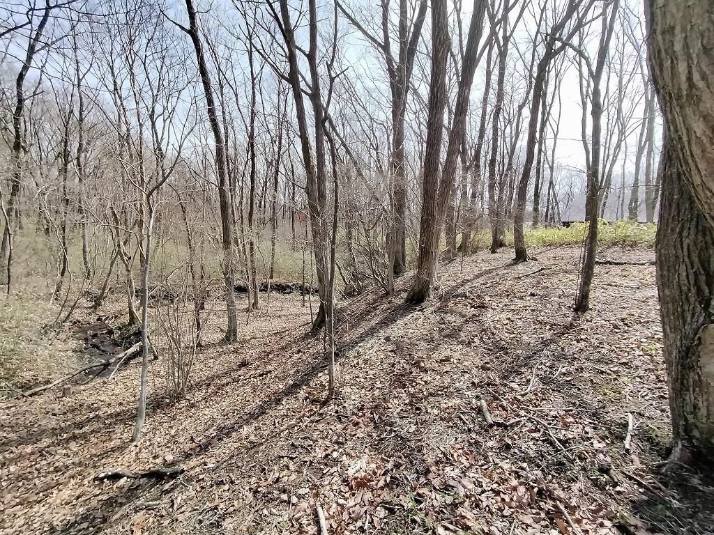 Land for Sale in Nasu, Tochigi - 465 sqm Villa Plot - Thumbnail 3