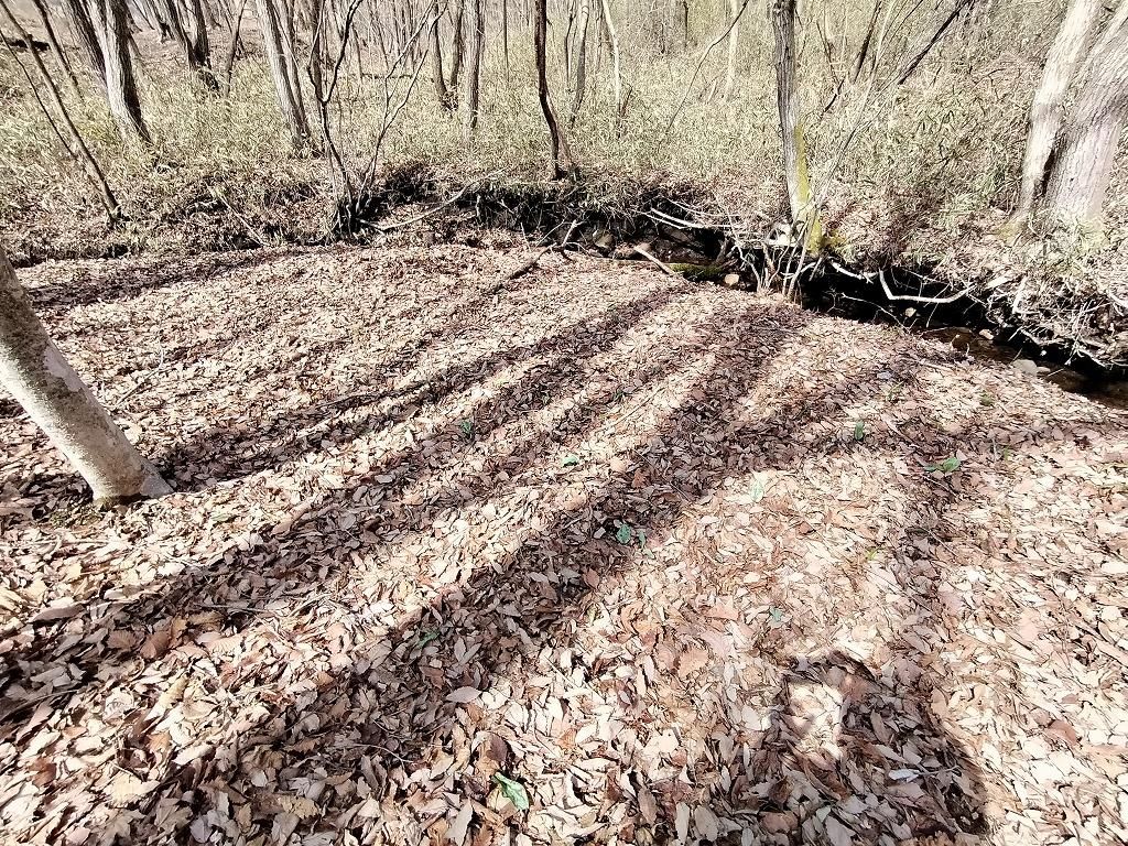 Land for Sale in Nasu, Tochigi - 465 sqm Villa Plot - Thumbnail 2