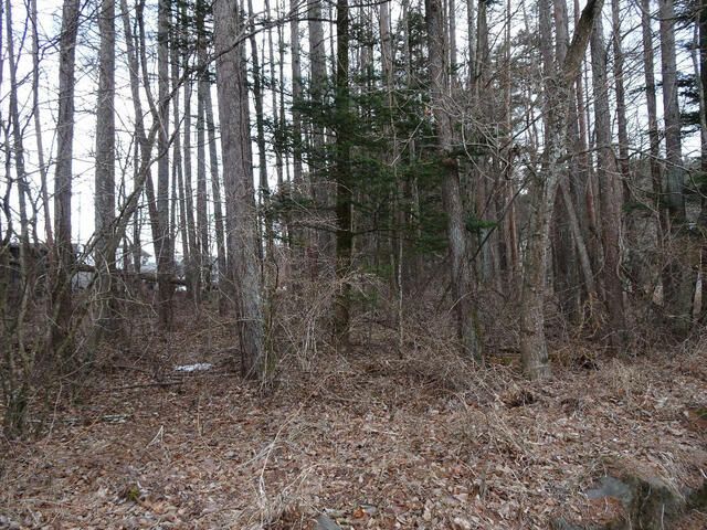 Land for Sale in Fujikawaguchiko, Yamanashi - 1004 sqm Plot - Thumbnail 3