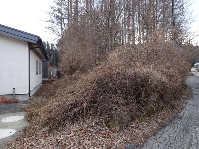 Land for Sale in Fujikawaguchiko, Yamanashi - 1004 sqm Plot - Thumbnail 2
