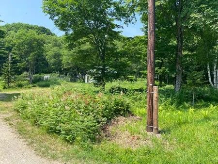 2282 Tsubo Land with Hot Spring Access in Teshikaga, Hokkaido - Thumbnail 4