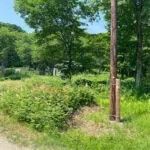 2282 Tsubo Land with Hot Spring Access in Teshikaga, Hokkaido - Thumbnail 3
