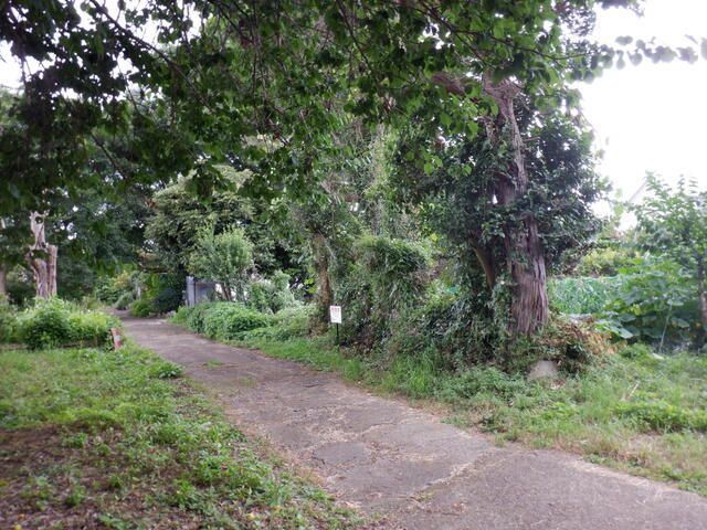 Land for Sale in Tsuchiura, Ibaraki - 114.34 sqm - Thumbnail 2