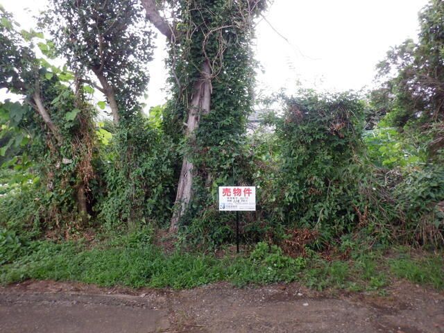 Land for Sale in Tsuchiura, Ibaraki - 114.34 sqm - Thumbnail 4