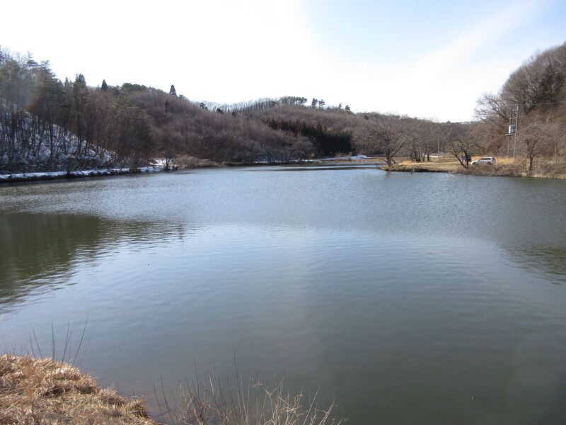 Land for Sale in Shirakawa, Fukushima - 297 sqm Corner Lot - Thumbnail 2