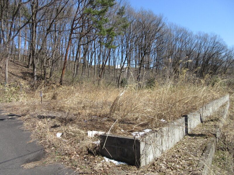 Land for Sale in Shirakawa, Fukushima - 297 sqm Corner Lot - Thumbnail 3