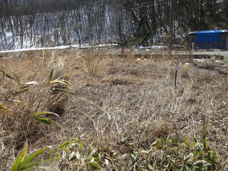 Land for Sale in Shirakawa, Fukushima - 297 sqm Corner Lot - Thumbnail 4