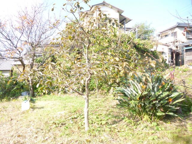 Land for Sale in Tateyama, Chiba - 148.76 sqm - Thumbnail 4