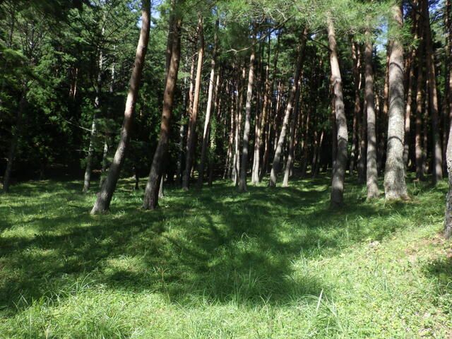 Large Sloped Land Plot for Sale in Fujikawaguchiko, Yamanashi - Thumbnail 2