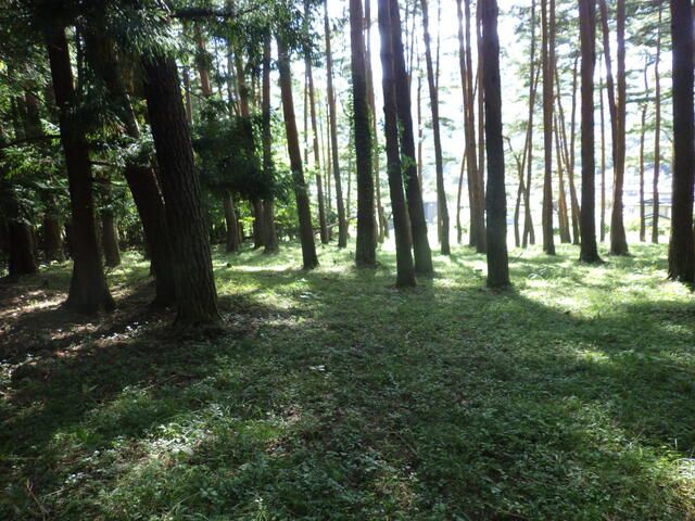Large Sloped Land Plot for Sale in Fujikawaguchiko, Yamanashi - Image 1