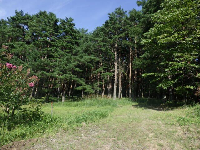 Large Sloped Land Plot for Sale in Fujikawaguchiko, Yamanashi - Thumbnail 3