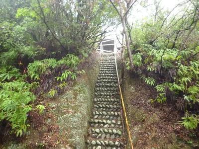 1983 Wooden House on 292 sqm Forest Land in Shima, Mie — Image 11, Shima, Mie