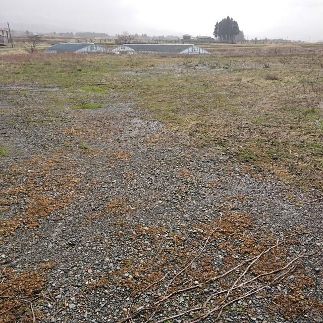 Vacant Land for Sale in Tsuruoka City, Yamagata - 2515 sqm - Thumbnail 4