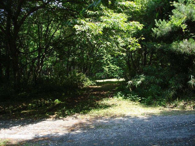 500 sqm Residential Land for Sale in Nikko, Tochigi - Thumbnail 2