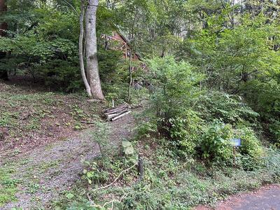 Wooden Forest Home on Large Plot in Nagano's Aoki Village — Image 3, Aoki, Nagano