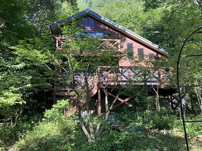 Wooden Forest Home on Large Plot in Nagano's Aoki Village — Image 2, Aoki, Nagano