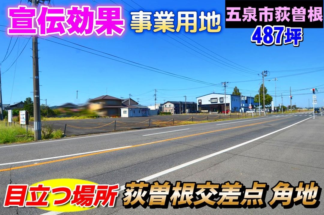 Land for Sale in Gosen City, Niigata – 1,611 sqm - Thumbnail 2