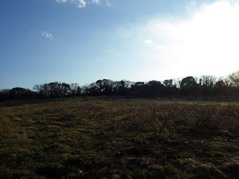 Large Plot of Land for Sale in Kisarazu, Chiba Prefecture - Thumbnail 3