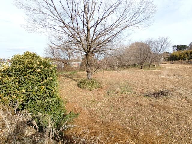 Land for Rent in Hachioji City, Tokyo - 935 sqm - Thumbnail 4