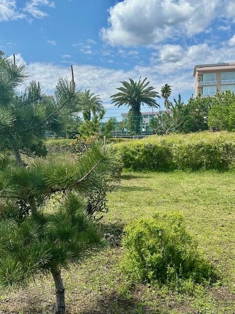 Land for Sale in Ichinomiya, Chiba - 386.52 sqm Vacant Lot - Thumbnail 4