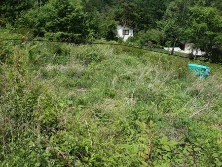 197 Tsubo Sloping Land for Sale in Yamanashi City - Thumbnail 2