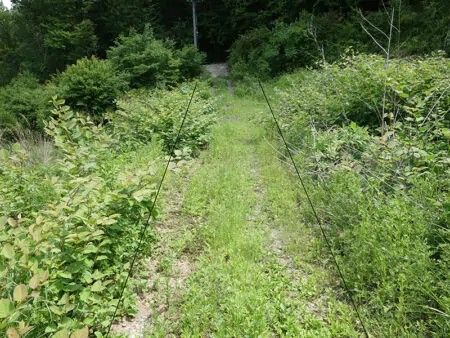 197 Tsubo Sloping Land for Sale in Yamanashi City - Thumbnail 4
