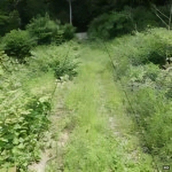 197 Tsubo Sloping Land for Sale in Yamanashi City - Thumbnail 3