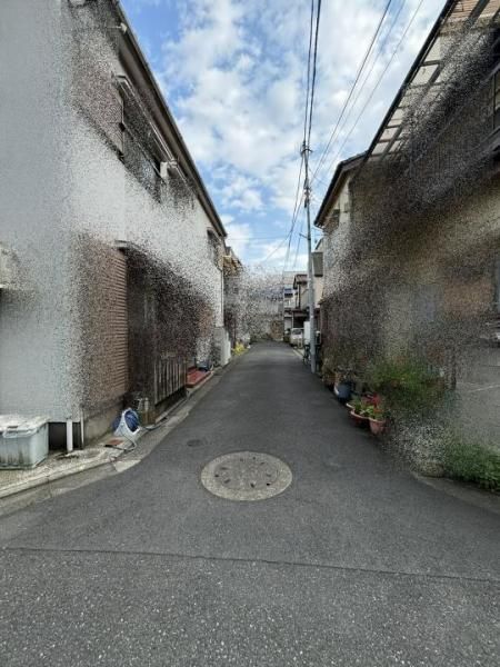 1972 Wooden House in Kameari, Katsushika, Tokyo - 2DK, 54.33㎡ Land - Thumbnail 4