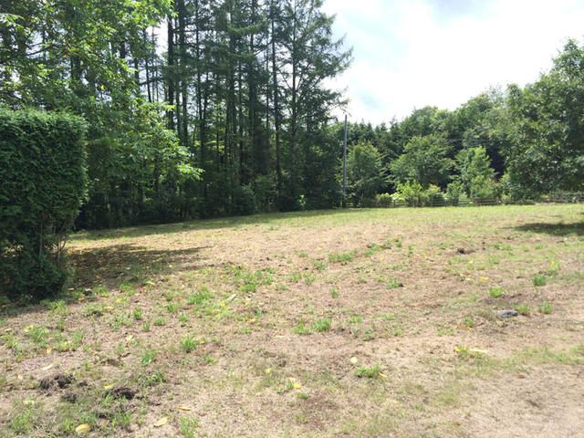 Land for Sale in Hokuto City, Yamanashi - 1269 sqm Plot - Thumbnail 3