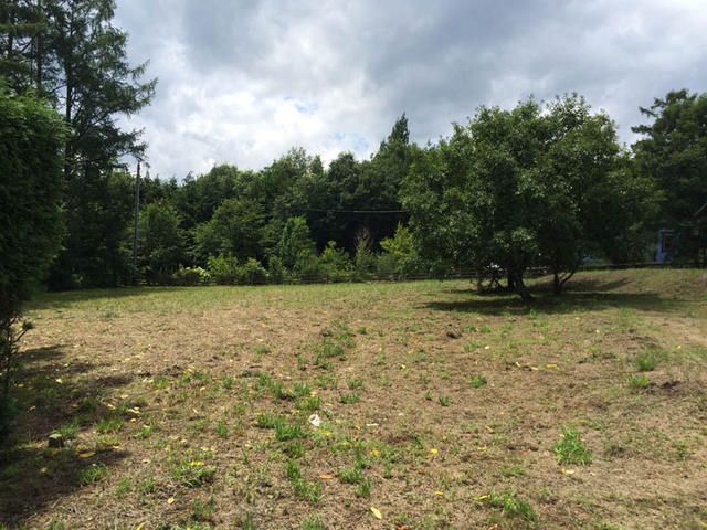 Land for Sale in Hokuto City, Yamanashi - 1269 sqm Plot - Thumbnail 4