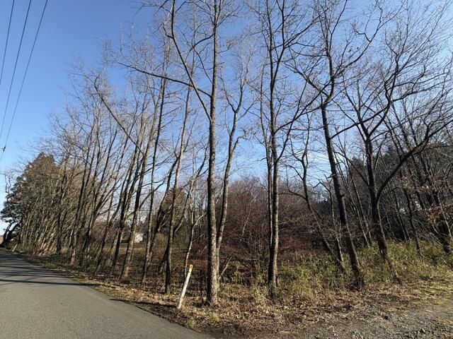 Land for Sale in Osaki City, Miyagi Prefecture - 1039 sqm - Thumbnail 3