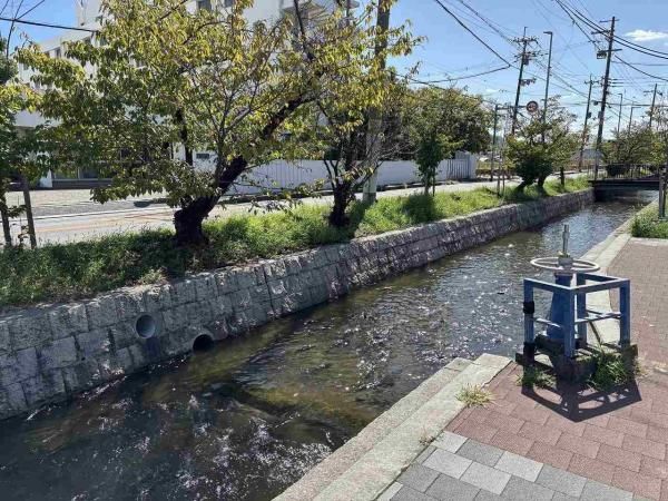 5SLDK House for Sale in Yao, Osaka | 191 sqm Floor Area - Thumbnail 3