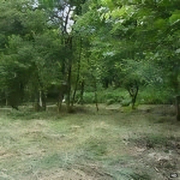 Bright 800sqm Land with Water Rights in Nasu, Tochigi - Thumbnail 4